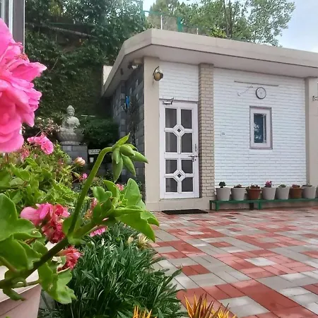 Sunrise Villa Shimla-3